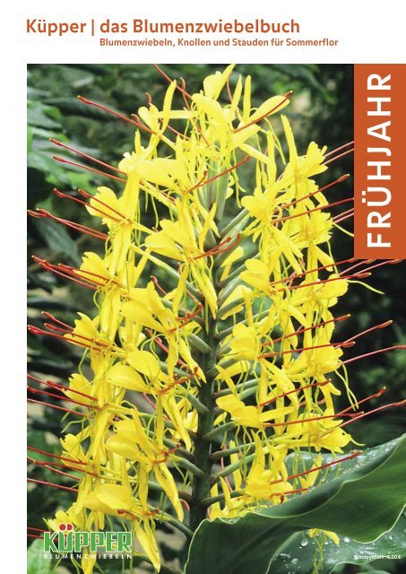 Kpper | Das Blumenzwiebelbuch Frhjahr 2012 - Kuepper Bulbs