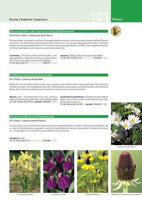 Küpper | Das Blumenzwiebelbuch Frühjahr 2012 - Kuepper Bulbs