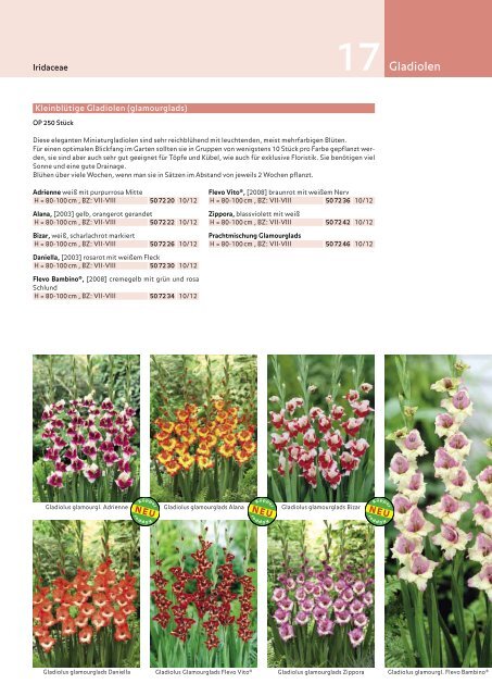 Küpper | Das Blumenzwiebelbuch Frühjahr 2012 - Kuepper Bulbs