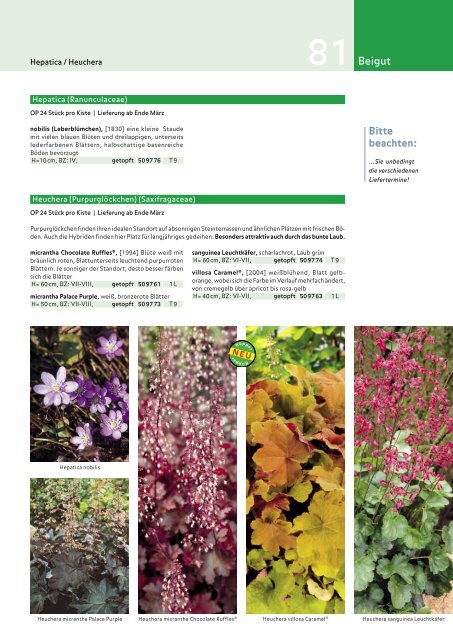 Küpper | Das Blumenzwiebelbuch Frühjahr 2012 - Kuepper Bulbs