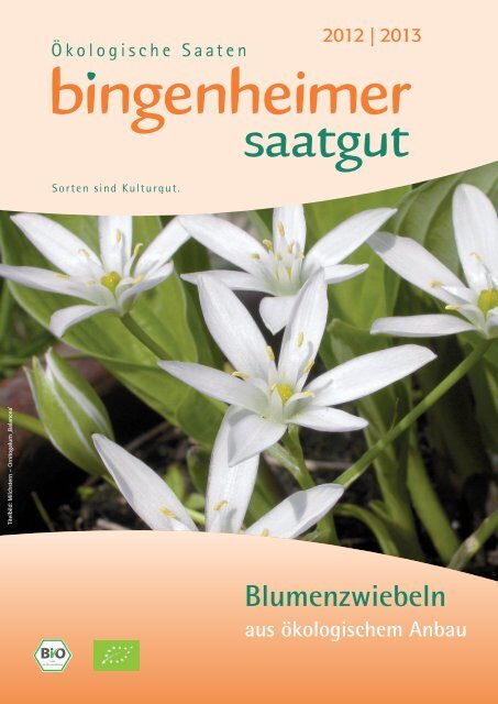 Blumenzwiebel-Katalog - Bingenheimer Saatgut AG