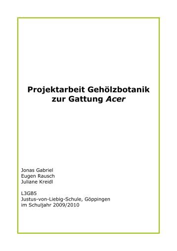 Projektarbeit Gehölzbotanik zur Gattung Acer - Justus-Von-Liebig ...