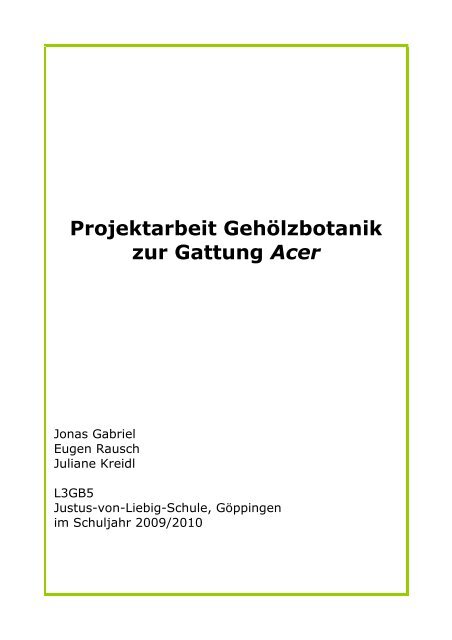 Projektarbeit Gehölzbotanik zur Gattung Acer - Justus-Von-Liebig ...