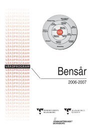 BensÃ¥r 2006.pdf