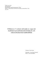 Effekten av 5 veckors utÃ¶vande av yoga och meditation - Marian Papp