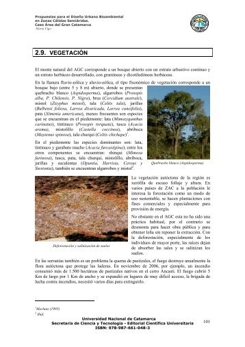 2.9. VEGETACIÃN - Editorial Cientifica - Universidad Nacional de ...