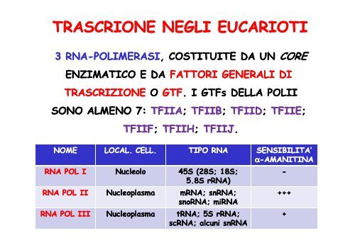 TRASCRIZIONE E MATURAZIONE DELL'RNA - Bgbunict.it