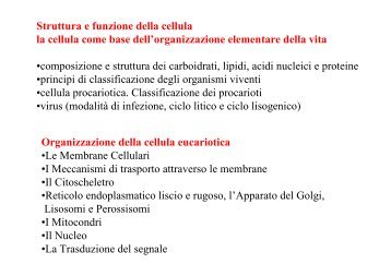 Struttura e funzione della cellula la cellula come base ... - Bgbunict.it