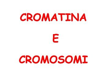 cromatina e cromosomi - Bgbunict.it