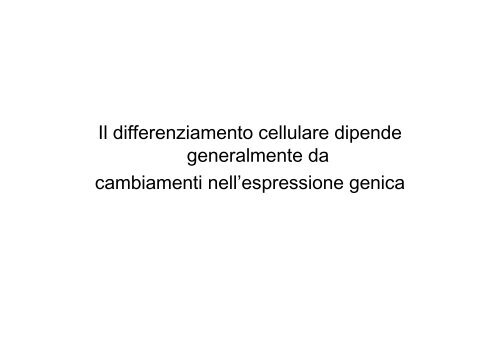 • Il differenziamento è il processo mediante il quale una ... - Bgbunict.it