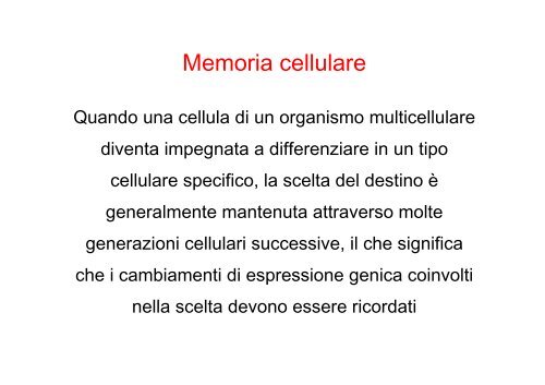 • Il differenziamento è il processo mediante il quale una ... - Bgbunict.it