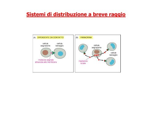 Trasduzione del segnale - Bgbunict.it