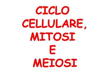 ciclo cellulare, mitosi e meiosi - Bgbunict.it