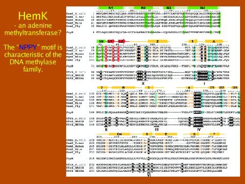 Patterns, Profiles, Domains and Motifs Theory - CNB - Protein ...