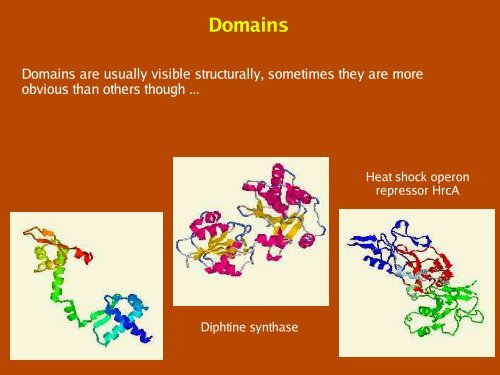 Patterns, Profiles, Domains and Motifs Theory - CNB - Protein ...
