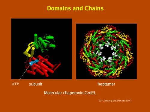 Patterns, Profiles, Domains and Motifs Theory - CNB - Protein ...