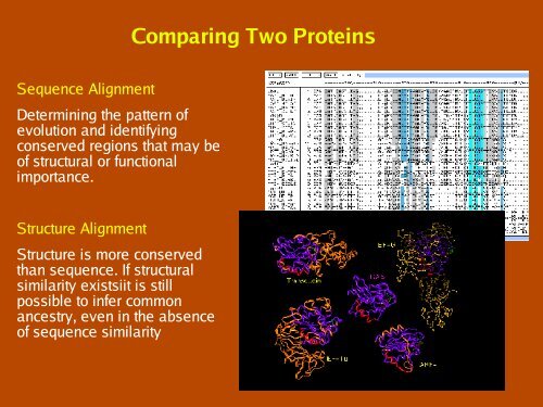 Patterns, Profiles, Domains and Motifs Theory - CNB - Protein ...