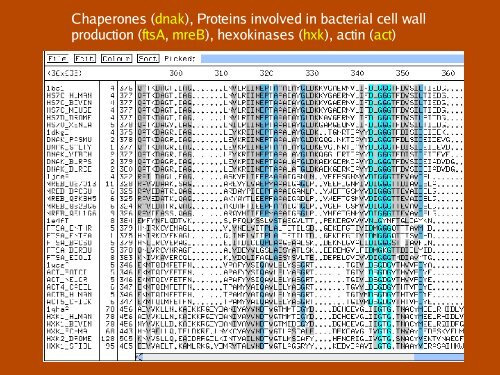 Patterns, Profiles, Domains and Motifs Theory - CNB - Protein ...