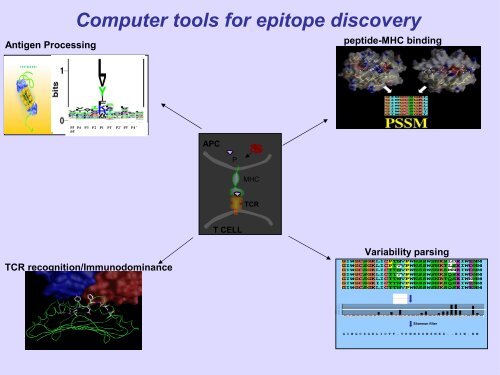 INMUNOINFORMATICA - CNB - Protein Design Group