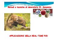 Applicazioni Real-Time PCR - Bgbunict.it