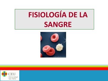 Fisiologia leucocitaria medicina.pdf - VeoApuntes.com