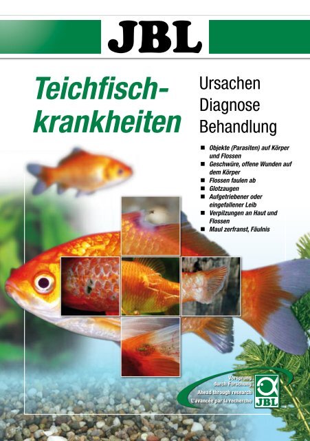 Teichfisch- krankheiten - Thommys Zooladen