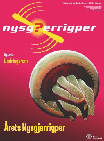 Undringsrom - Nysgjerrigper