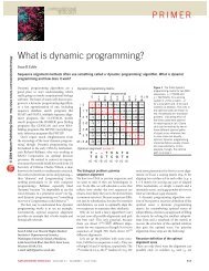 What is dynamic programming? - the Department of Statistics