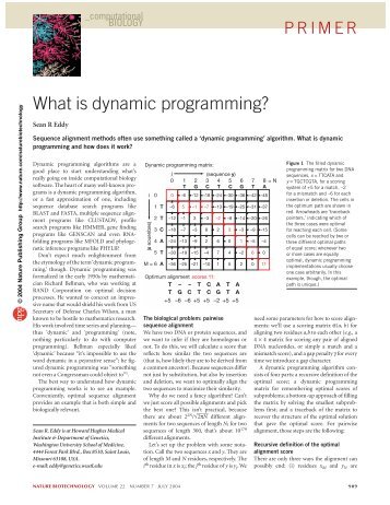 What is dynamic programming? - the Department of Statistics