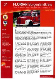 Mitteilungsblatt der Kreisfeuerwehrverbandes Burgenlandkreis e.V. - Heft 01