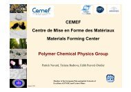 Description .pdf - Centre for Material Forming (CEMEF) - MINES ...