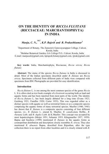 on the identity of riccia fluitans (ricciaceae: marchantiophyta) in india