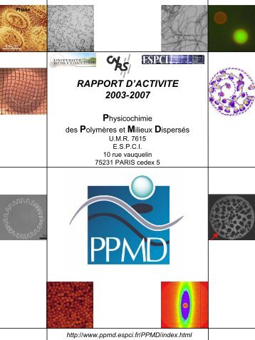 RAPPORT D'ACTIVITE 2003-2007 - Physico-chimie des PolymÃ¨res ...