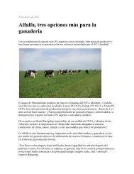 Alfalfa, tres opciones mÃ¡s para la ganaderÃ­a - desarrollo argentino