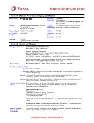 Atosol 100 MSDS - Total Petrochemicals USA