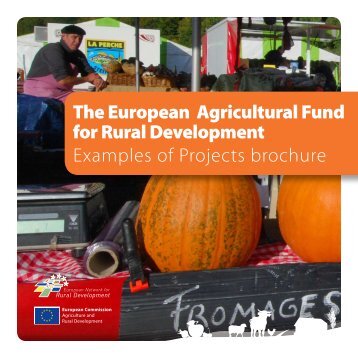 The European Agricultural Fund for Rural ... - Rural Network NI