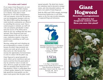 Giant Hogweed Brochure