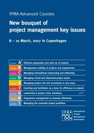 New bouquet of project management key issues