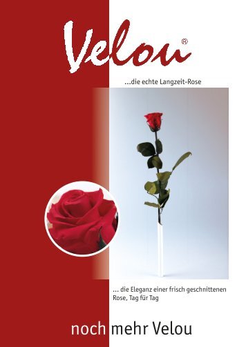 noch mehr Velou - Harecker