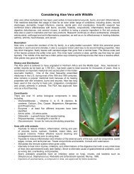 Considering Aloe Vera with Wildlife - WildAgain Wildlife Rehabilitation