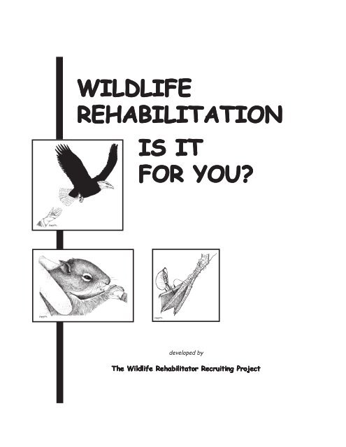 WILDLIFE REHABILITATION IS IT FOR YOU? - WildAgain Wildlife ...