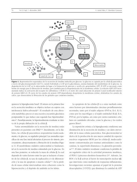 Avances en DiabetologÃ­a - Sociedad EspaÃ±ola de Diabetes