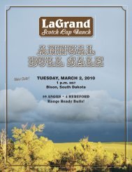 LaGrand - MCS Auction, LLC