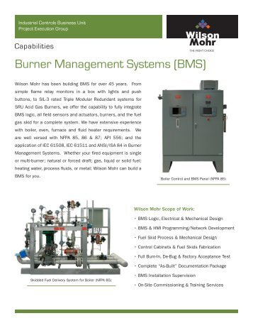 Burner Management Systems (BMS) - Wilson Mohr