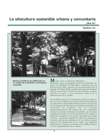La silvicultura sostenible urbana y comunitaria - Arbor Day Foundation