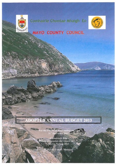 Adopted 2013 Budget (PDF-4657 kb) - Mayo County Council