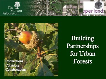 Regional Tree Initiatives - Arbor Day Foundation