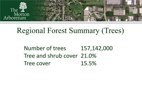 Regional Tree Initiatives - Arbor Day Foundation