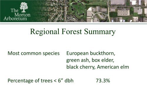 Regional Tree Initiatives - Arbor Day Foundation