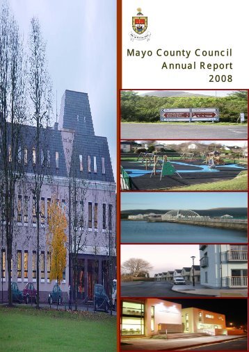 Annual Report 2008 --- (English Version) (PDF-4365 kb)